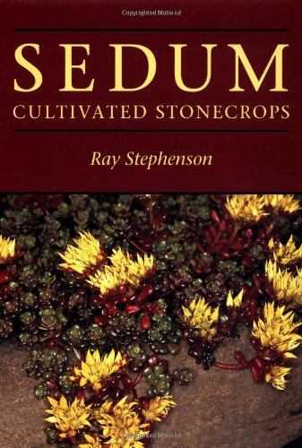Imagen de archivo de Sedum: Cultivated Stonecrops a la venta por HPB-Ruby