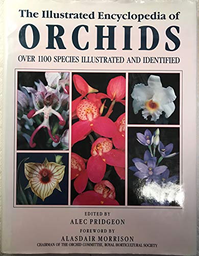 Illustrated Encyclopedia of Orchids.