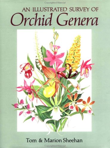 Beispielbild fr An Illustrated Survey of Orchid Genera zum Verkauf von Patrico Books