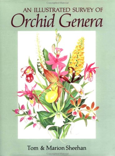 Stock image for An Illustrated Survey of Orchid Genera for sale by Patrico Books
