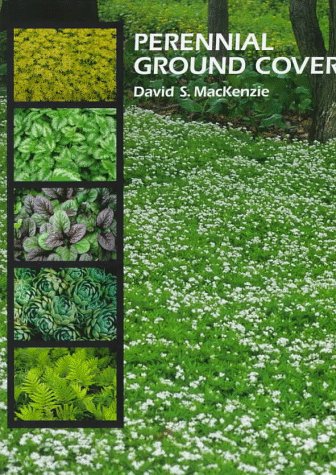 Stock image for Perennial Ground Covers for sale by ZBK Books