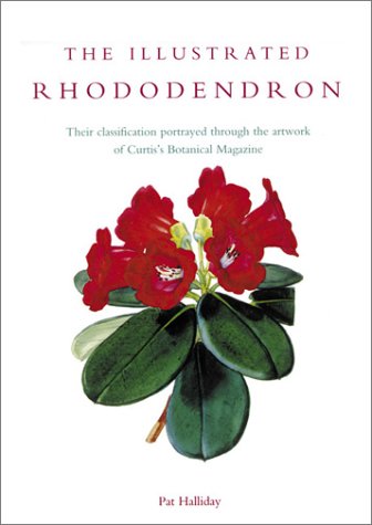 Beispielbild fr The Illustrated Rhododendron : Their Classification Portrayed Through the Artwork of Curtis's Botanical Magazine zum Verkauf von Better World Books