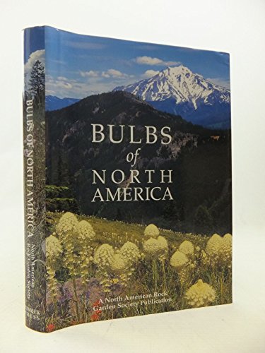 Stock image for Bulbs of North America for sale by More Than Words
