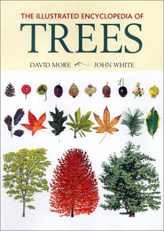 The Illustrated Encyclopedia of Trees