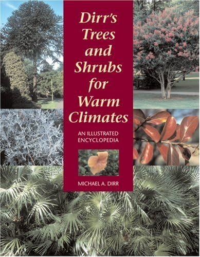 Stock image for Dirr's Trees and Shrubs for Warm Climates : An Illustrated Encyclopedia for sale by Better World Books