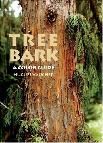 Beispielbild fr Tree Bark A Color Guide zum Verkauf von Olmstead Books
