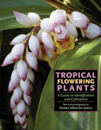 Stock image for Tropical Flowering Plants : A Guide to Identification and Cultivation for sale by Better World Books