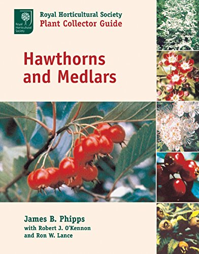 Stock image for Hawthorns and Medlars: A Royal Horticultural Society Plant Collector Guide (Royal Horticultural Society / Timber Press Plant Collectors) for sale by Books Unplugged