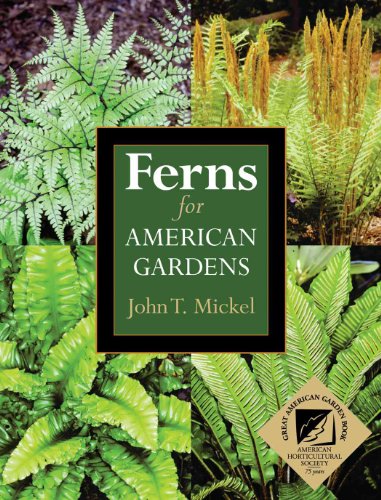 Beispielbild fr Ferns for American Gardens zum Verkauf von Half Price Books Inc.