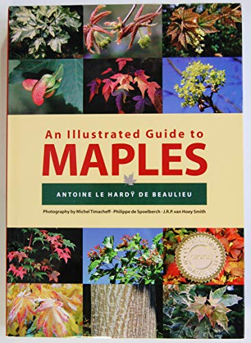 Stock image for An Illustrated Guide to Maples (Illustrated Guides) for sale by Wonder Book