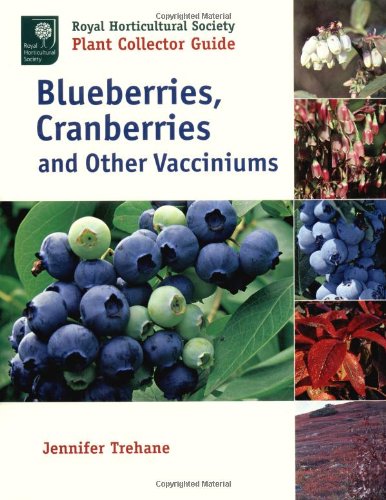 9780881926156: Blueberries, Cranberries and Other Vacciniums