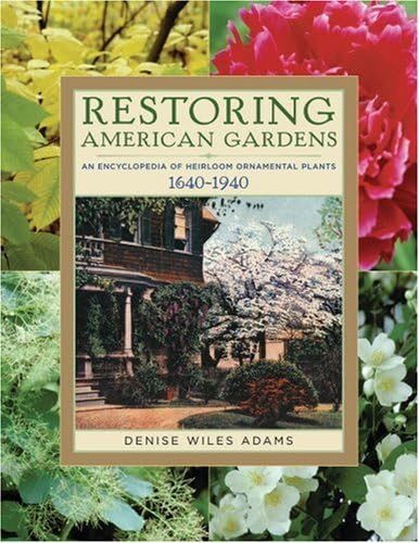 Imagen de archivo de Restoring American Gardens: An Encyclopedia of Heirloom Ornamental Plants, 1640-1940 a la venta por HPB-Ruby