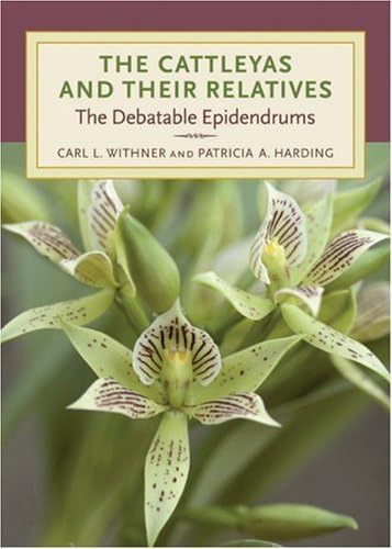Stock image for Cattleyas and Their Relatives: The Debatable Epidendrums for sale by Book Bear