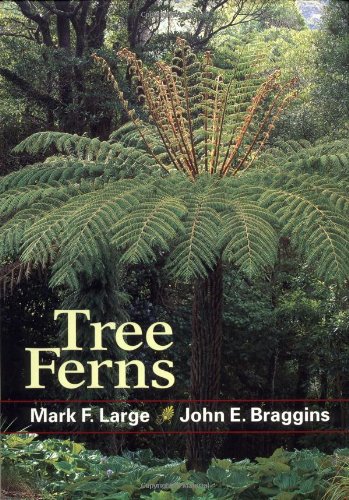 Imagen de archivo de Tree Ferns a la venta por Front Cover Books