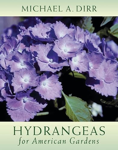 Stock image for Hydrangeas for American Gardens for sale by New Legacy Books