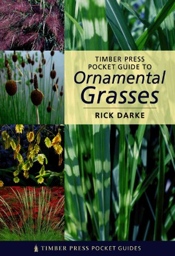 Imagen de archivo de Timber Press Pocket Guide to Ornamental Grasses a la venta por Better World Books