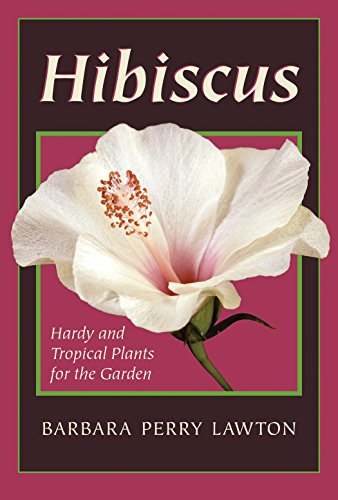 Stock image for Hibiscus: Hardy and Tropical Plants for the Garden for sale by Front Cover Books
