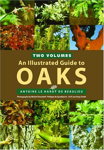 9780881926651: An Illustrated Guide to Oaks