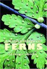 Stock image for A Natural History of Ferns for sale by Better World Books