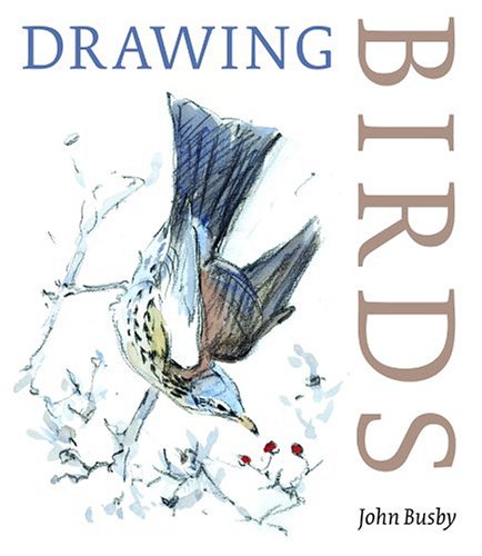 Imagen de archivo de Drawing Birds a la venta por ZBK Books