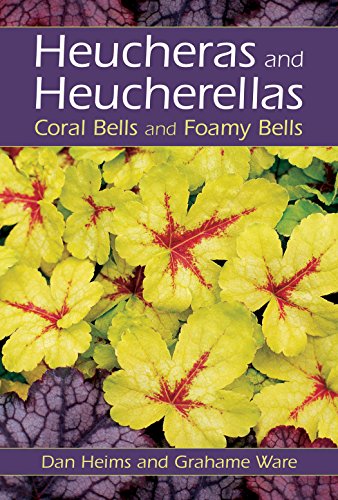 Stock image for Heucheras and Heucherellas: Coral Bells and Foamy Bells for sale by WorldofBooks