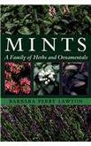 Mints: A Family Of Herbs And Ornamentals