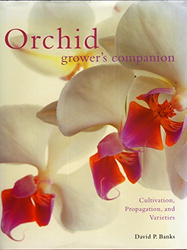 Orchid Grower's Companion: Cultivation, Propagation, and Varieties (9780881927115) by David Banks