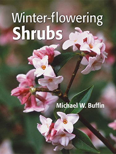 Winter-Flowering Shrubs.
