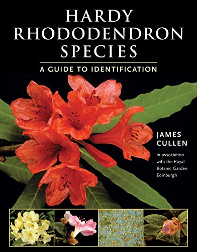 Stock image for Hardy Rhododendron Species: A Guide to Identification for sale by Books of the Smoky Mountains
