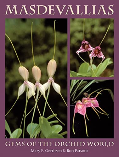 Stock image for Masdevallias: Gems of the Orchid World for sale by WorldofBooks