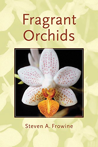 Beispielbild fr Fragrant Orchids: A Guide to Selecting, Growing, and Enjoying zum Verkauf von GF Books, Inc.