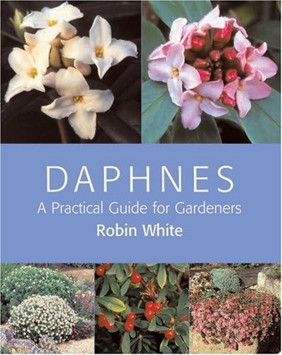 9780881927528: Daphnes: A Practical Guide for Gardeners