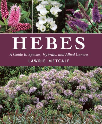 Hebes: A Guide to Species, Hybrids and Allied Genera