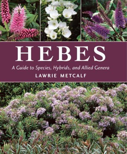 9780881927733: Hebes: A Guide to Species, Hybrids, and Allied Genera