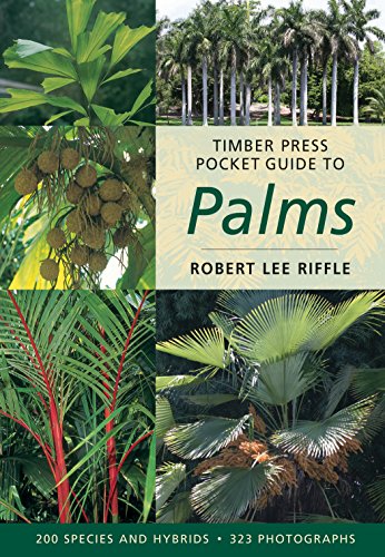 9780881927764: Timber Press Pocket Guide to Palms (Timber Press Pocket Guides S.)