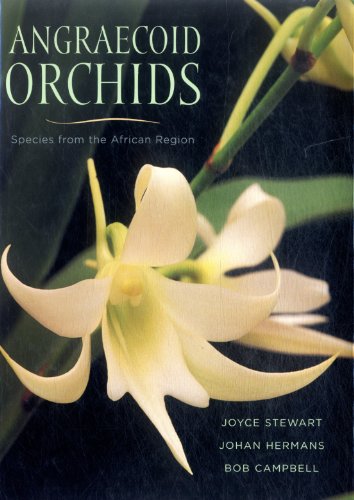 Angraecoid Orchids: Species from the African Region (9780881927887) by Hermans, Johan; Campbell, Bob; Stewart, Joyce
