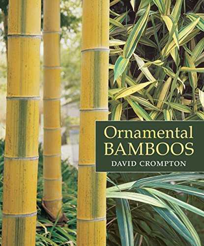 Beispielbild fr Ornamental Bamboos zum Verkauf von BooksRun
