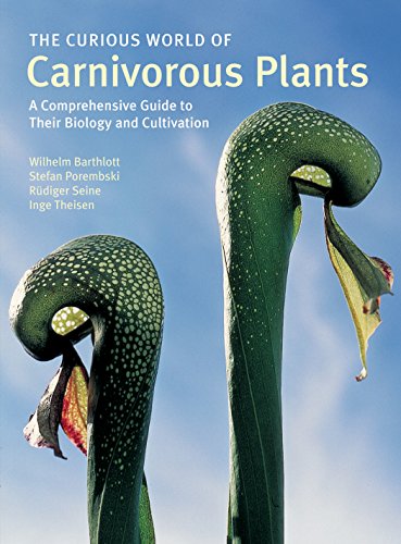 Imagen de archivo de The Curious World of Carnivorous Plants: A Comprehensive Guide to Their Biology and Cultivation a la venta por Project HOME Books