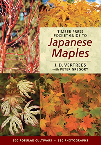 Imagen de archivo de Timber Press Pocket Guide to Japanese Maples a la venta por Seattle Goodwill