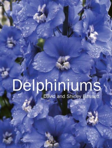 Stock image for Delphiniums for sale by Better World Books: West