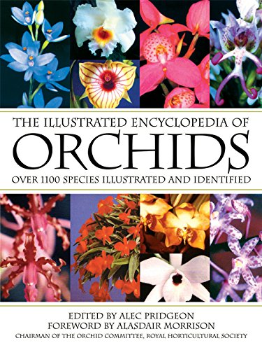 The Illustrated Encyclopedia of Orchids