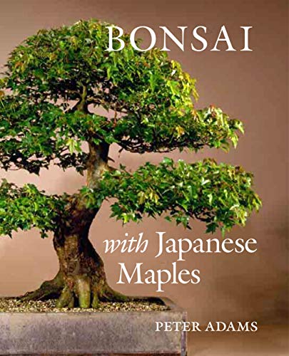 9780881928099: Bonsai with Japanese Maples