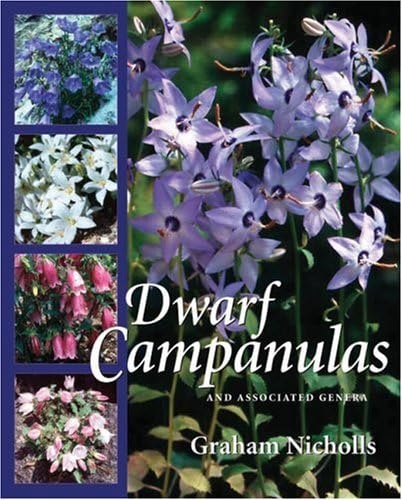 Stock image for Dwarf Campanulas for sale by PBShop.store US
