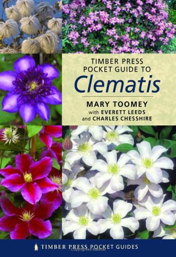 Stock image for Timber Press Pocket Guide to Clematis (Timber Press Pocket Guides) for sale by SecondSale