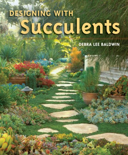 9780881928167: Designing With Succulents