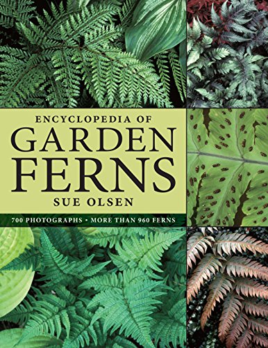 Stock image for Encyclopedia of Garden Ferns for sale by ThriftBooks-Dallas