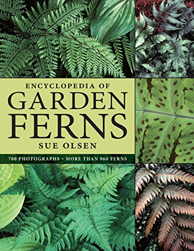 9780881928198: Encyclopedia of Garden Ferns