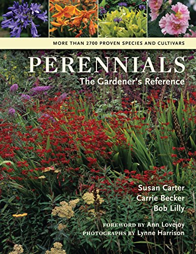 Stock image for Perennials : The Gardener's Reference for sale by Better World Books