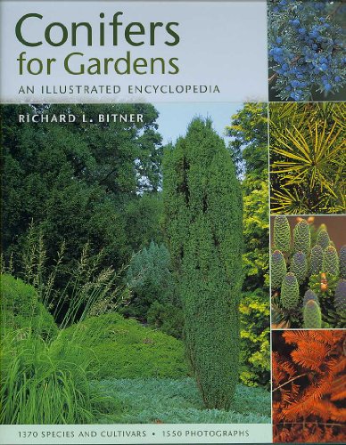 Stock image for Conifers for Gardens: An Illustrated Encyclopedia for sale by SecondSale