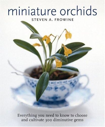 Beispielbild fr Miniature Orchids zum Verkauf von Better World Books